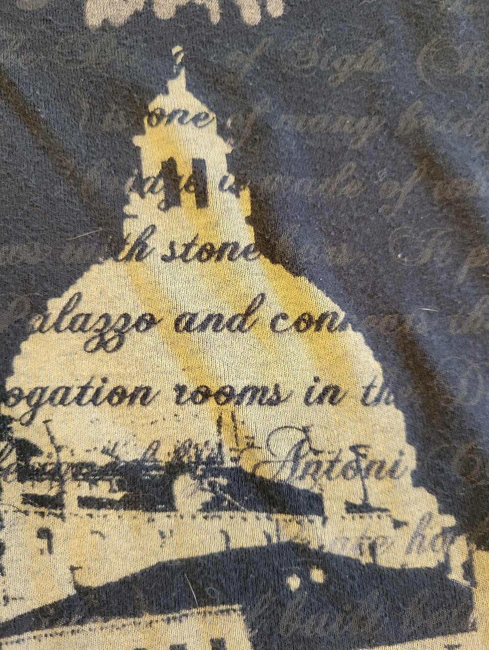 Venice Graphic V-Neck Short Sleeve Tee - Black and Cream Small - Picture 5 of 8